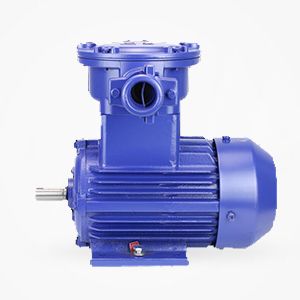 大強植保e5000電機參數，詳解大強植保e5000電機的技術參數